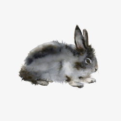 手绘兔子动物素材