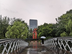 高清彩霞图片桥上雨中路人高清图片