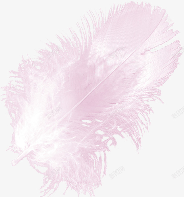 紫色羽毛png免抠素材_新图网 https://ixintu.com 彩色 简单 紫色 羽毛