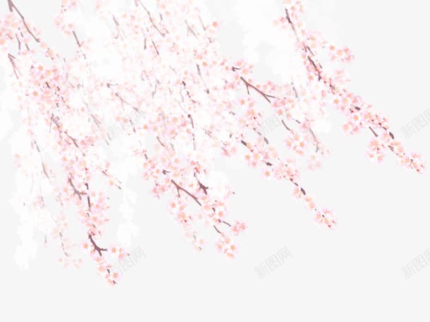 粉色花卉展板png免抠素材_新图网 https://ixintu.com 展板 粉色 花卉 设计