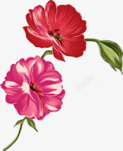 手绘红色粉色花朵植物素材