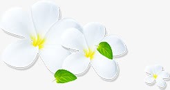 白色花朵卡通植物png免抠素材_新图网 https://ixintu.com 卡通 植物 白色 花朵