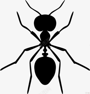 黑色蚂蚁图标图标