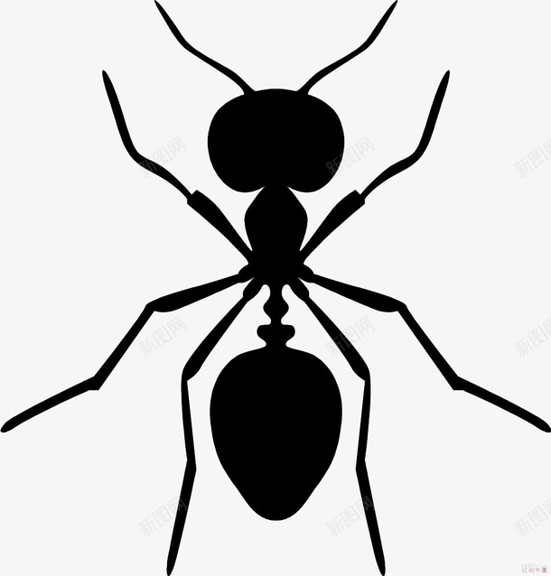 黑色蚂蚁图标png_新图网 https://ixintu.com 动物 蚁人 蚂蚁 黑色