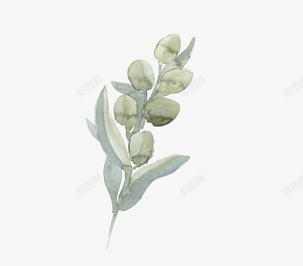 小清新手绘植物图案png免抠素材_新图网 https://ixintu.com 小清新植物图案 小清新植物绘画 手绘植物 手绘植物图案 植物