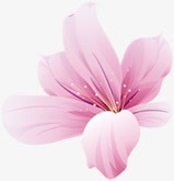 粉色手绘花朵海报装饰素材