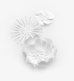 白色创意花朵植物素材