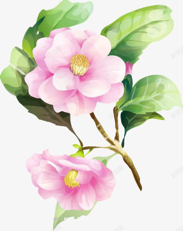 粉色花朵png免抠素材_新图网 https://ixintu.com 手绘 树枝 植物 粉花绿叶 绿叶