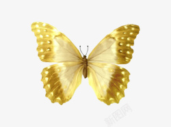 黄色蝴蝶矢量图素材