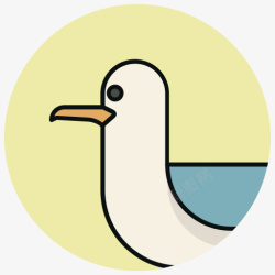 鸟鸬鹚海洋海小鸟2素材