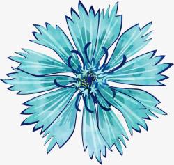 手绘蓝色的花素材