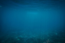 水海深海海底背景