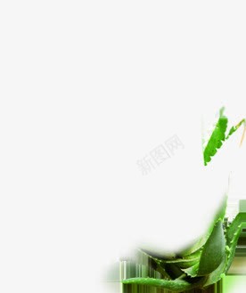 绿色清新树叶创意包装png免抠素材_新图网 https://ixintu.com 创意 包装 树叶 清新 绿色