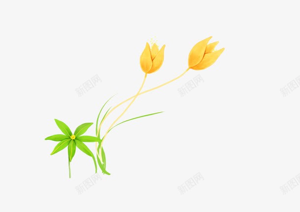 黄色的花植物png免抠素材_新图网 https://ixintu.com 黄色的花植物