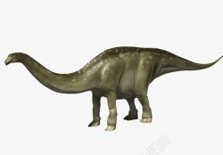 长尾巴恐龙素材