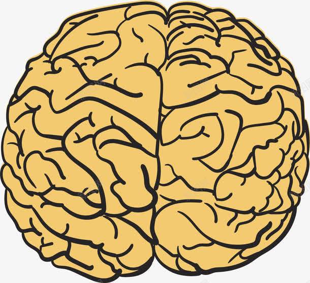 卡通手绘大脑png免抠素材_新图网 https://ixintu.com 人脑 卡通 大脑 头脑 思维 最强大脑 脑神经