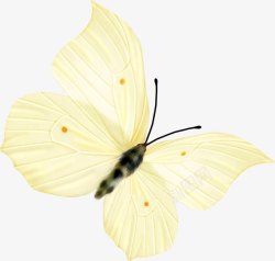 黄色可爱手绘蝴蝶素材