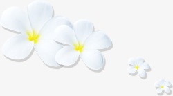 白色剪纸花朵效果素材