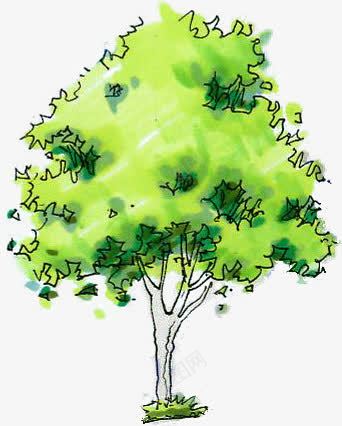 手绘绿色树木插画png免抠素材_新图网 https://ixintu.com 插画 树木 绿色