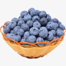 鲜蓝莓蓝莓蓝色蓝莓蓝莓素材