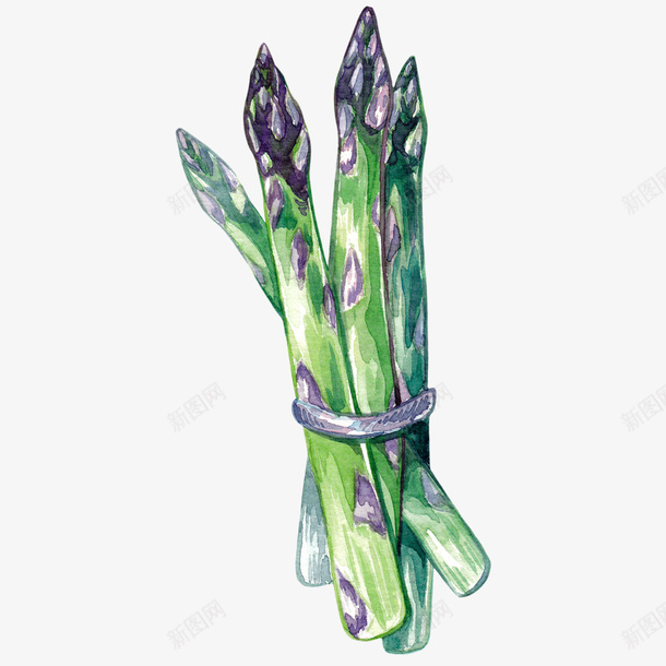 手绘的茼蒿png免抠素材_新图网 https://ixintu.com png图形 手绘 植物 茼蒿 蔬菜 装饰