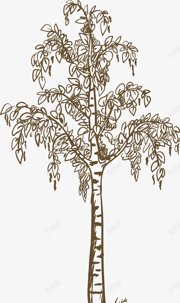 手绘植物树png免抠素材_新图网 https://ixintu.com 手绘 手绘植物树 树木 植物