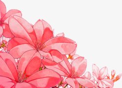 粉色鲜花花朵植物创意素材
