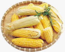 玉米食品农产品玉米粒水果素材