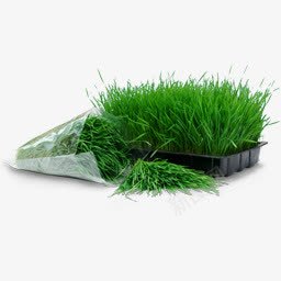 麦草托盘图标包png_新图网 https://ixintu.com bag tray wheatgrass 托盘 袋 麦草