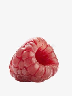 地仙泡野果子红莓高清图片