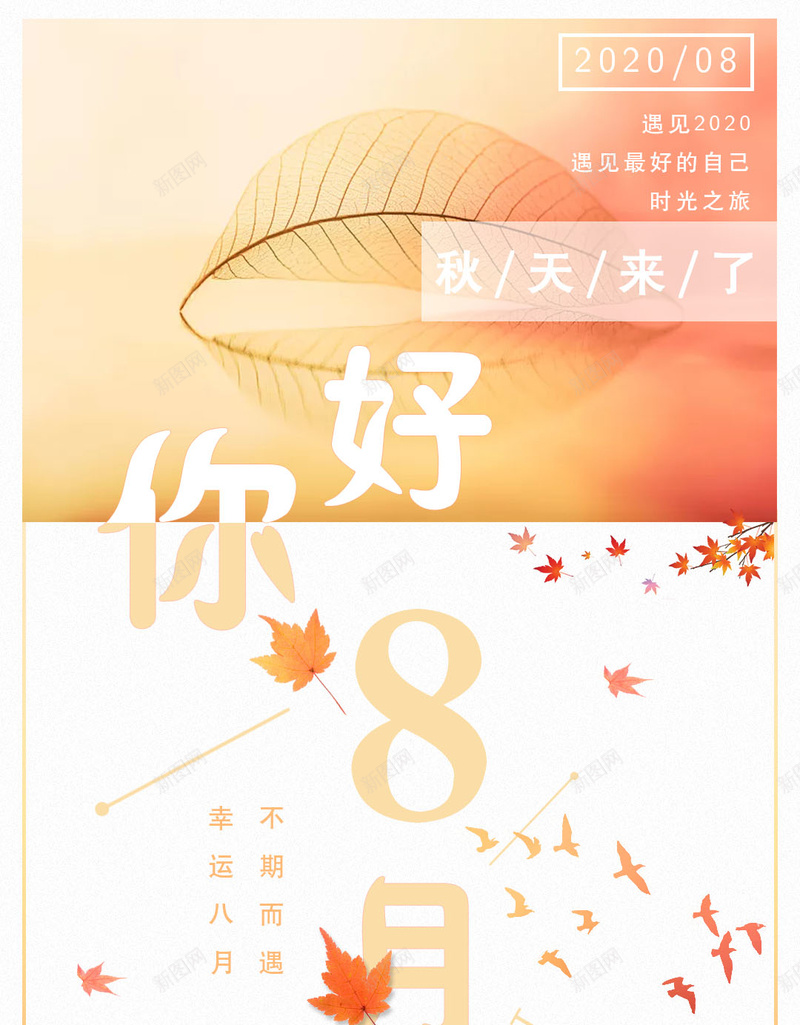 不期而遇幸运八月psd设计背景_新图网 https://ixintu.com 幸运八月 枫叶 秋天 秋天背景 简约