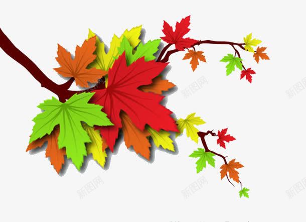秋天的树叶png免抠素材_新图网 https://ixintu.com 叶子 树叶 秋天 秋天的树叶