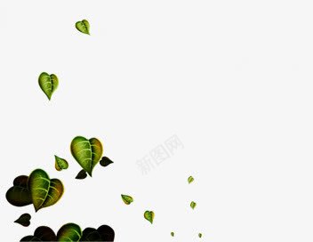 夏日活动树叶植物树叶png免抠素材_新图网 https://ixintu.com 夏日 树叶 植物 活动