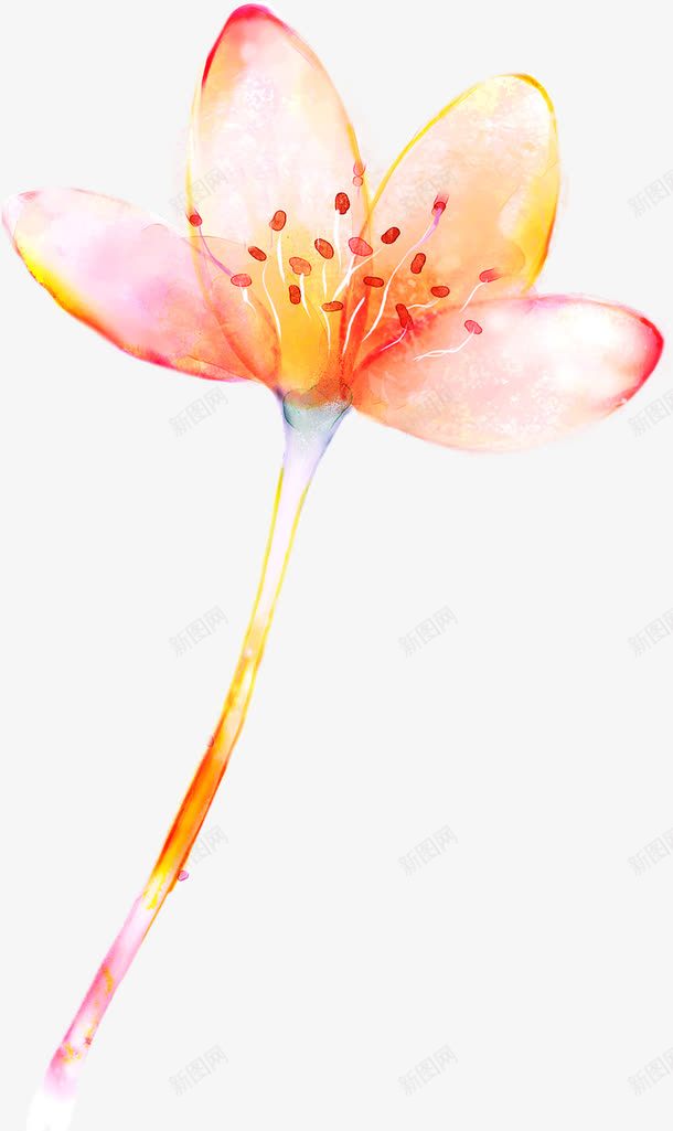 手绘唯美花朵植物艺术png免抠素材_新图网 https://ixintu.com 植物 艺术 花朵