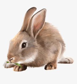 水彩手绘可爱小白兔小动物卡通免素材