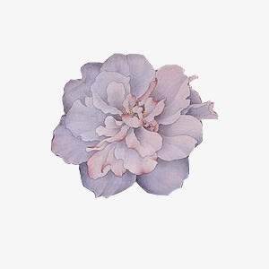 手绘复古紫色花朵png免抠素材_新图网 https://ixintu.com 复古 紫色 花朵