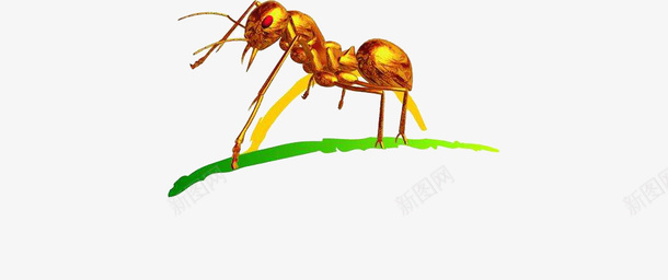 金色小蚂蚁png免抠素材_新图网 https://ixintu.com 主材 蚂蚁 装饰 设计 金色