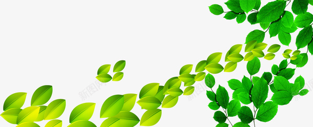绿色叶子平面装饰psd免抠素材_新图网 https://ixintu.com 健康节 平面装饰 树叶 装饰图案