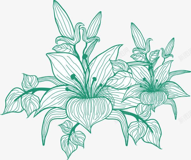 手绘绿色欧式花朵植物png免抠素材_新图网 https://ixintu.com 植物 欧式 绿色 花朵