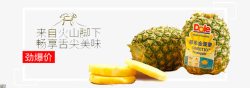 菠萝凤梨淘宝广告素材