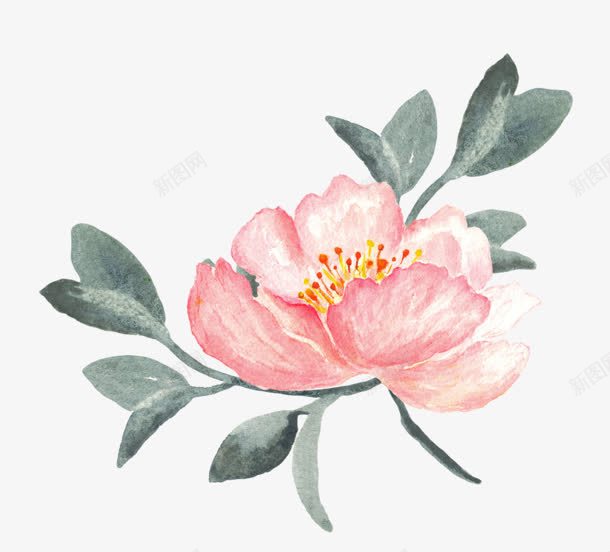 手绘粉色复古花朵植物png免抠素材_新图网 https://ixintu.com 复古 植物 粉色 花朵