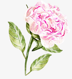 手绘粉色花朵装饰素材