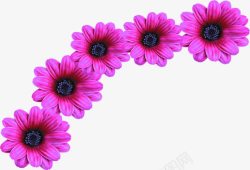 紫色唯美春天花朵装饰素材