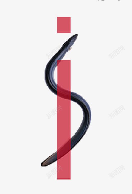 海蛇手绘png免抠素材_新图网 https://ixintu.com 创意 动物 插画 海蛇