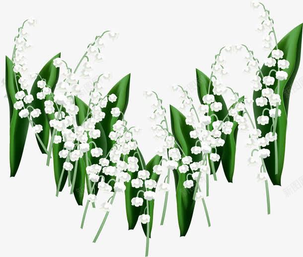 手绘白色小花png免抠素材_新图网 https://ixintu.com 手绘 清新 白色 花朵