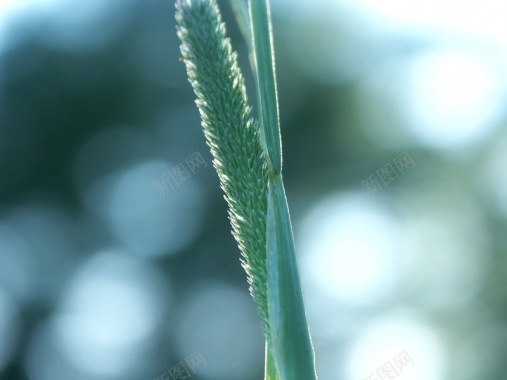 简约并不简单的背景