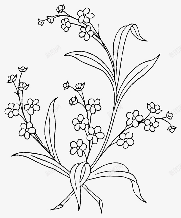 手绘树枝上的花朵png免抠素材_新图网 https://ixintu.com PNG素材 手绘 树枝 花朵