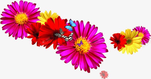 彩色可爱唯美花朵装饰png免抠素材_新图网 https://ixintu.com 可爱 彩色 花朵 装饰