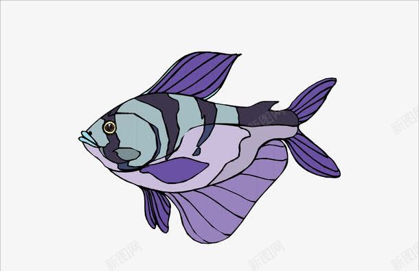 彩绘紫色鱼漂浮png免抠素材_新图网 https://ixintu.com 彩绘 漂浮 素材 紫色
