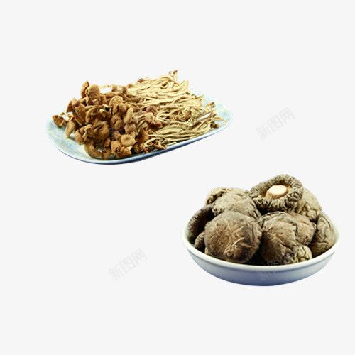 茶树菇与香菇png免抠素材_新图网 https://ixintu.com 产品实物 干货 茶树菇 菇类 菌类 香菇